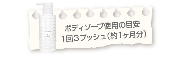 ボディソープ使用の目安１回３プッシュ（約１ヶ月分）